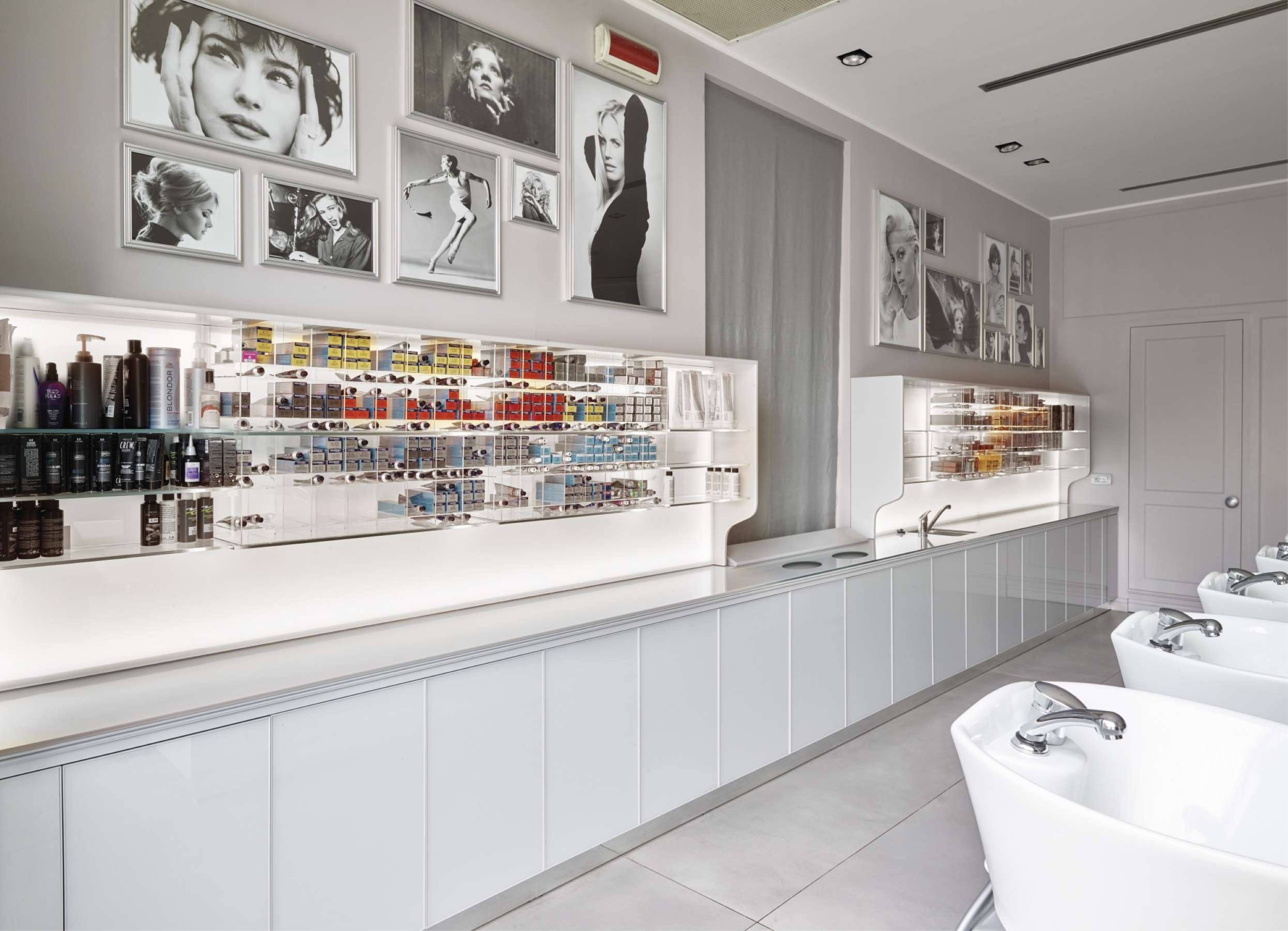 Лаборатория CAFE MOMUS BASIN