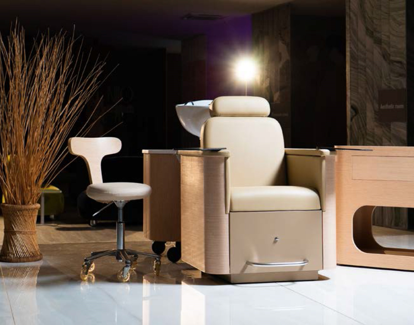 Многофункциональное кресло DIVINA SUPER LIGHT OAK